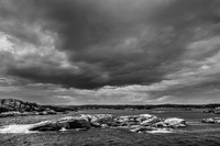 DSC_2513+.jpg