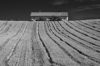 DSC_3290+.jpg