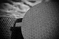 DSC_9226+contrast.jpg