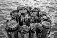 DSC_2669+blur20.jpg